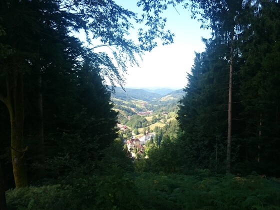 Schwarzwald ein Lichtblick
