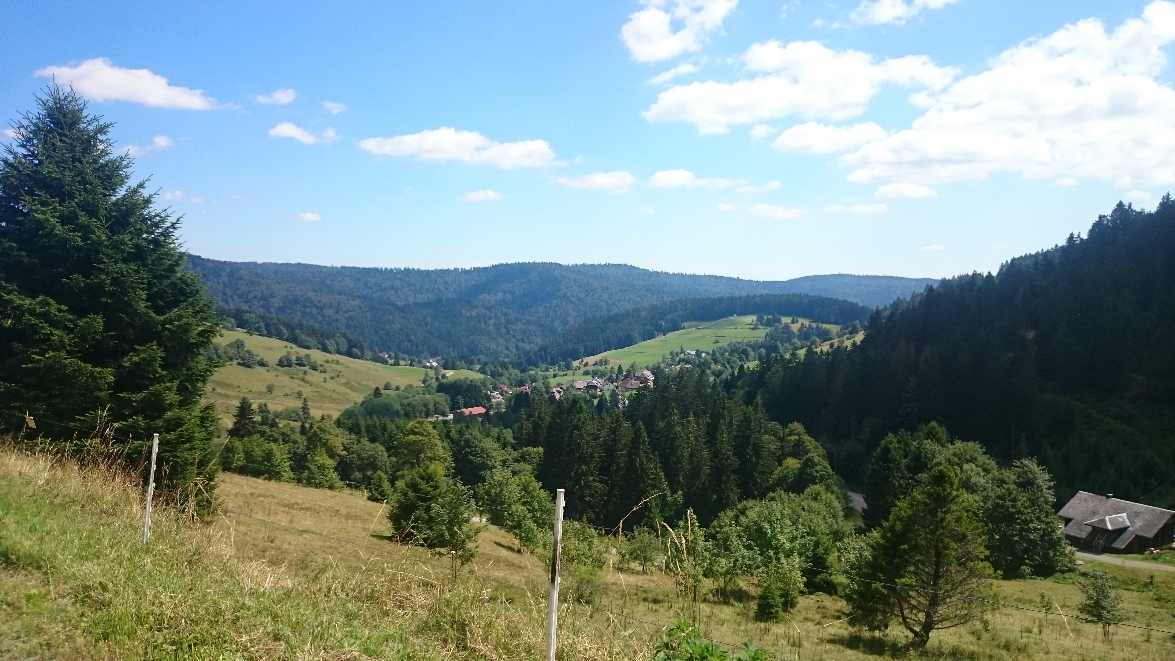 Schwarzwald noch mehr Hügel
