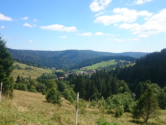 Schwarzwald noch mehr Hügel