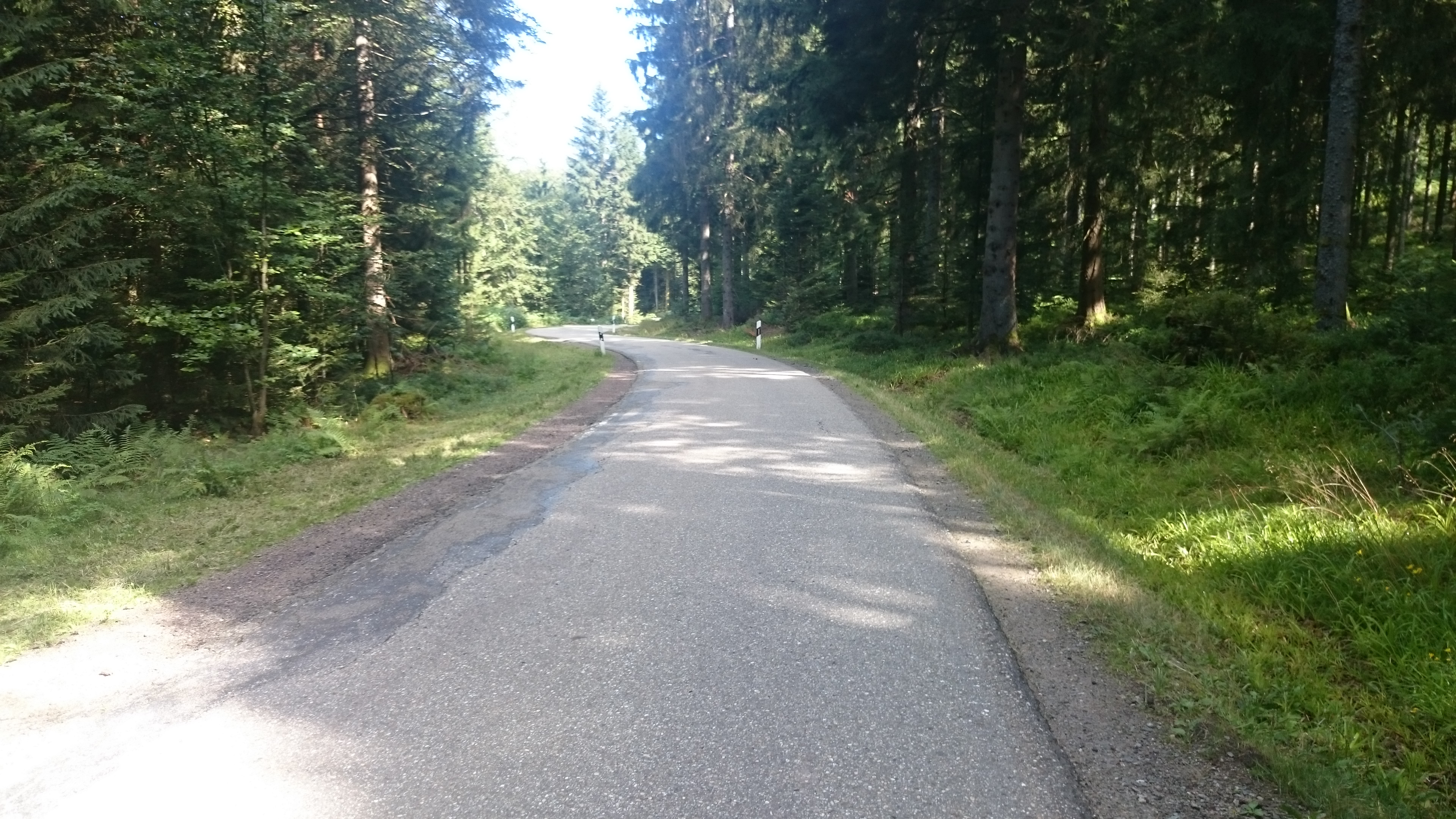 Schwarzwald ein Weg ins nirgendwo