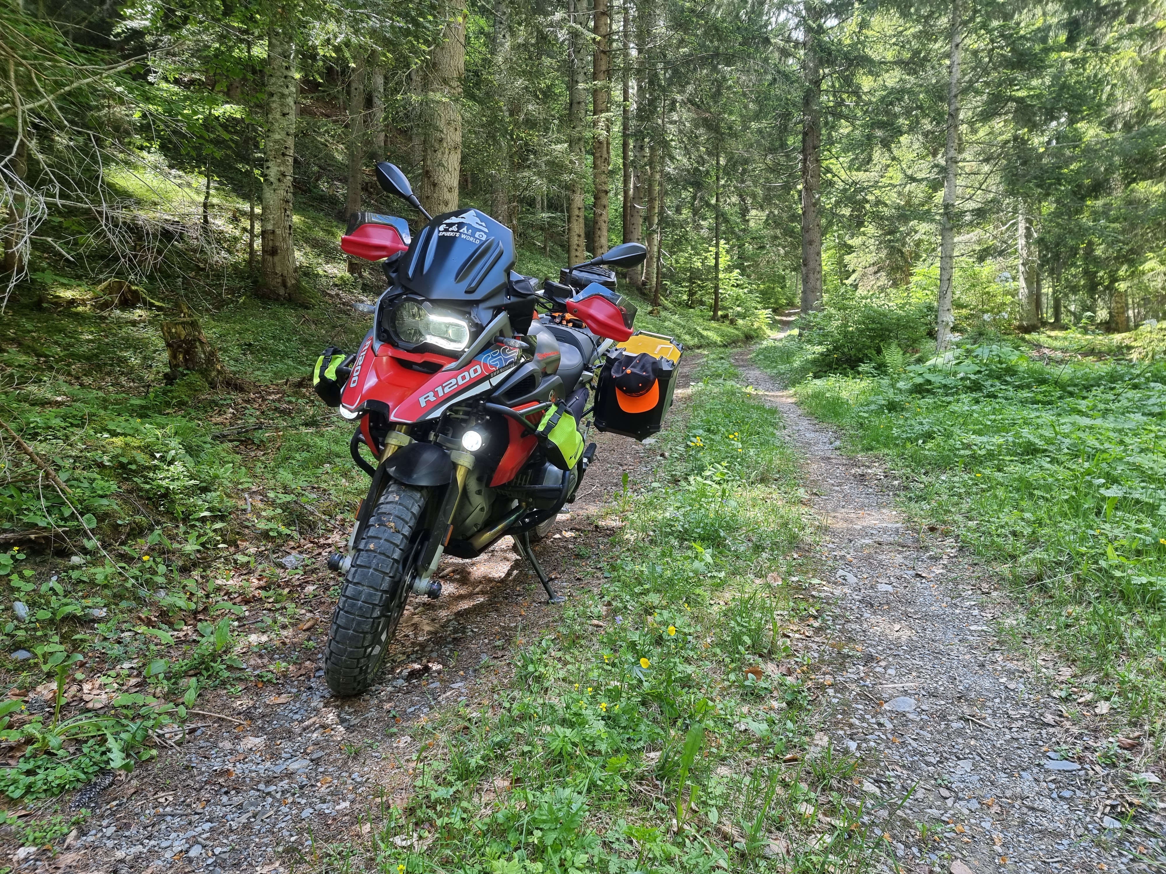 Eine Offiziell Waldstrasse/weg die man bis zur Baumgrenze hochfahren darf.